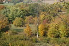 DSC08406