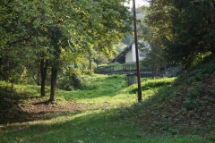 DSC08421