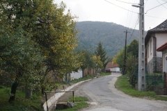 DSC08431