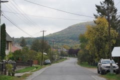 DSC08439