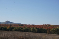 DSC09090