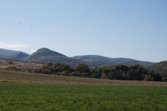 DSC09092
