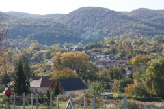 DSC09093