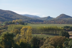 DSC09094