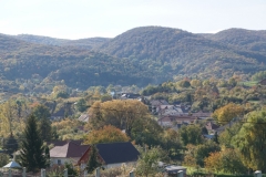 DSC09095