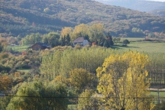 DSC09098