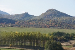DSC09099