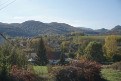 DSC09102