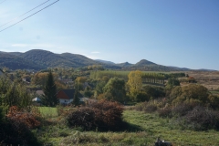 DSC09103