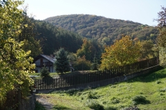 DSC09115