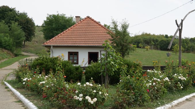 DSC00728