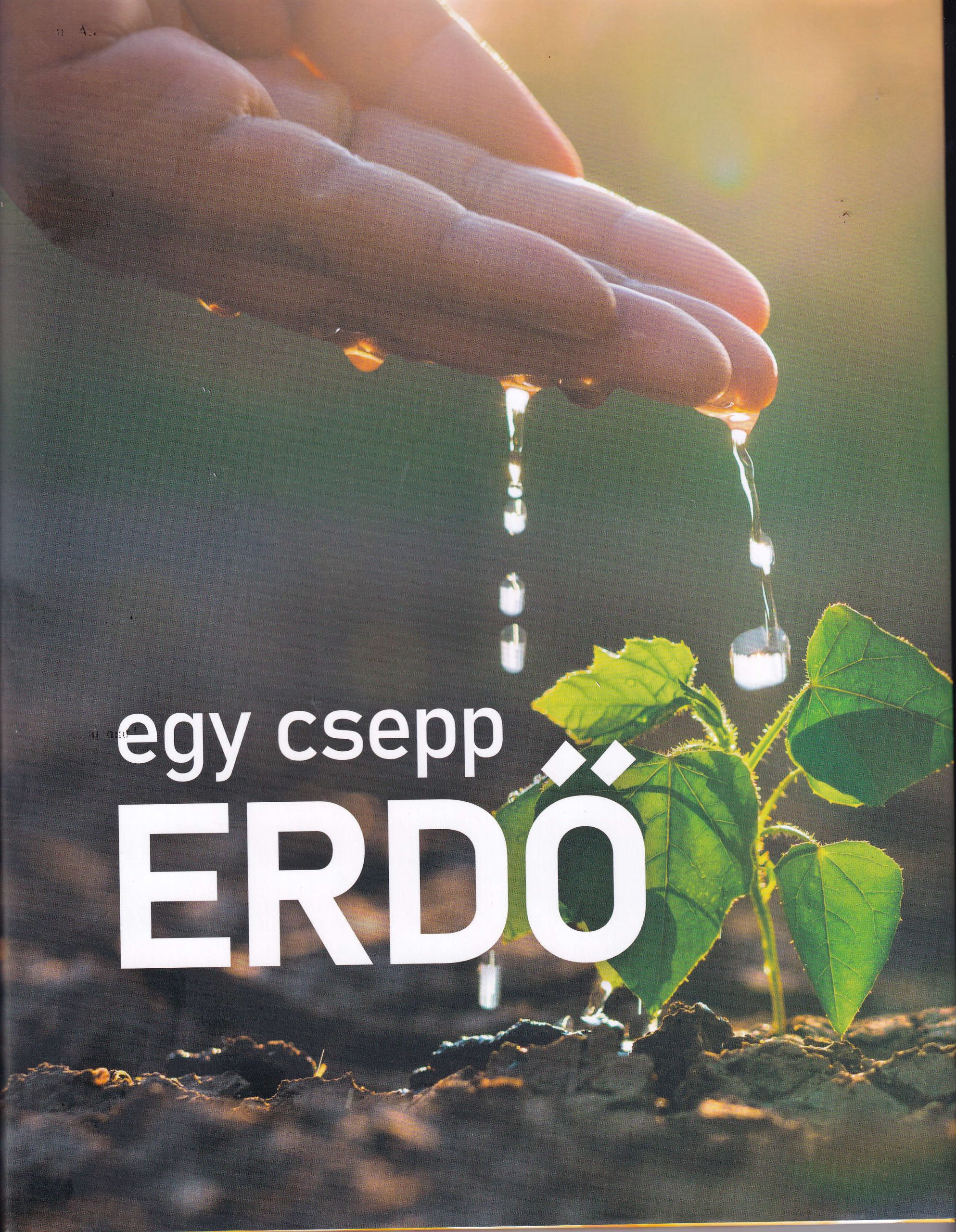 Megjelent egy szenzációs könyv: “Egy csepp erdő” címmel a természet értékeiről, ami új ízeket hoz a poharakba