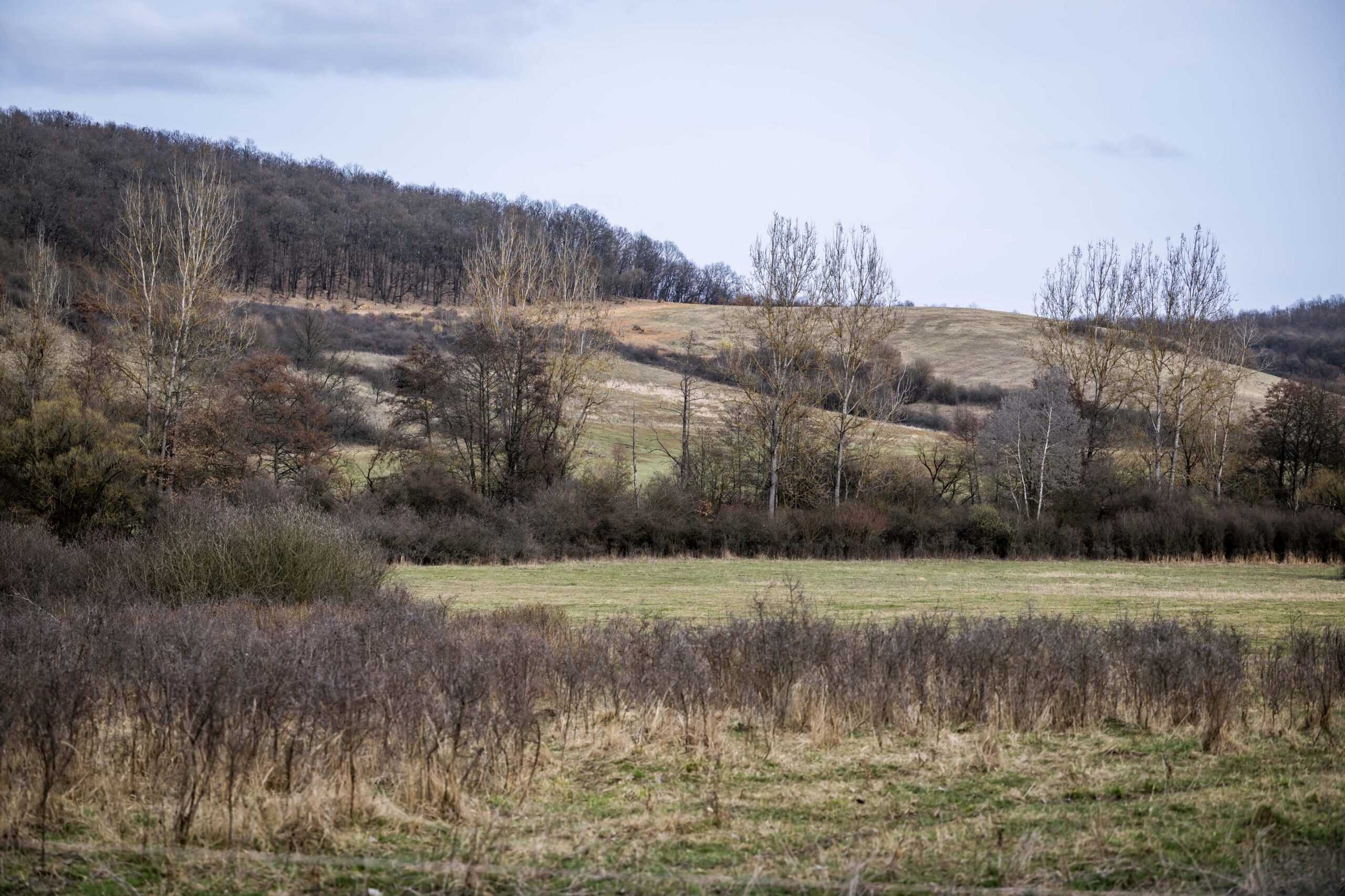 Védett gyepek kezelési feltételeinek megteremtését elősegítő infrastruktúra fejlesztés és élőhely-fejlesztések az Aggteleki Tájegység gyepes élőhelyein