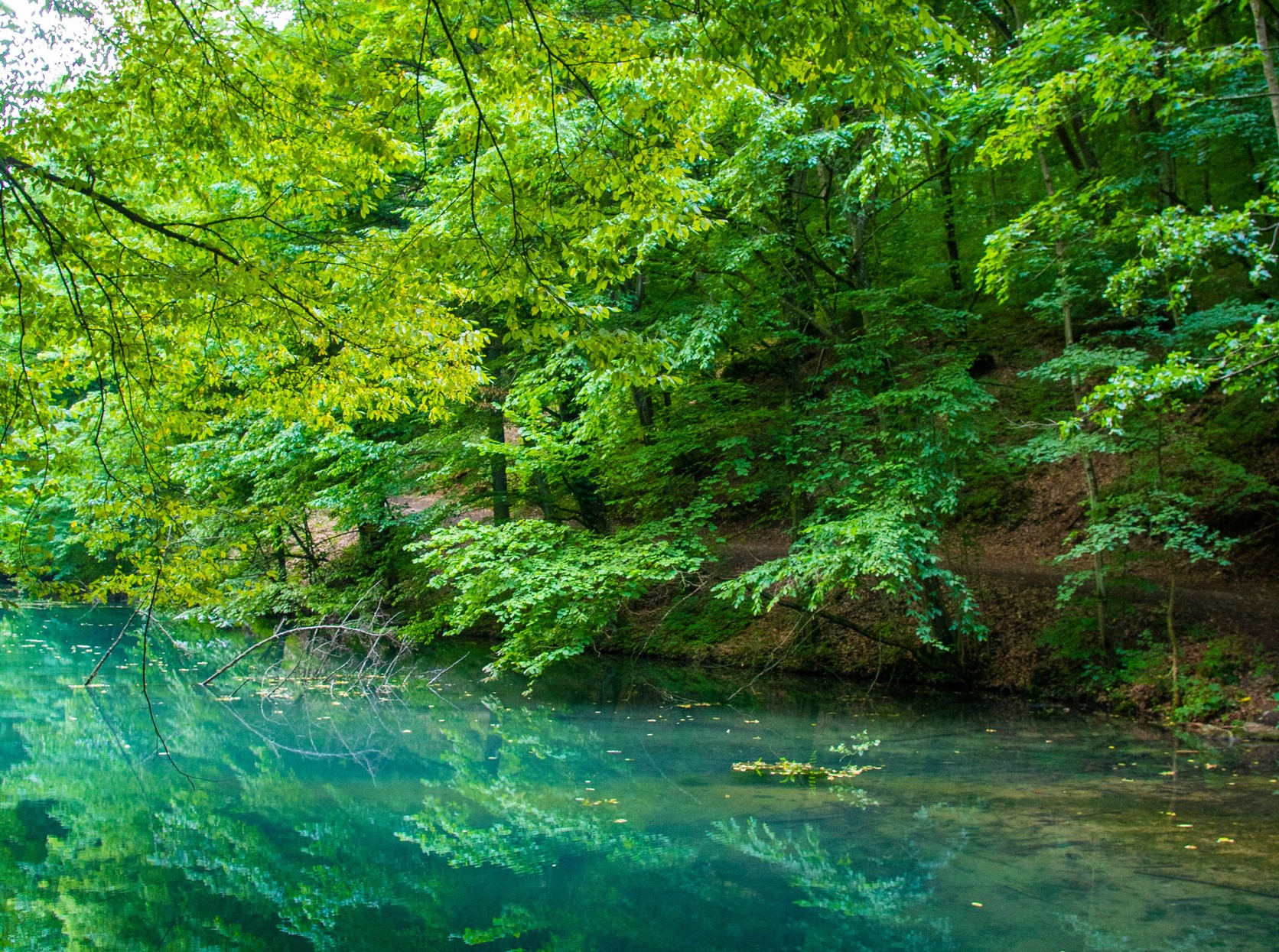 Természetes és természetközeli állapotú erdők megőrzése és felújítása az Aggteleki Tájegység erdőterületein