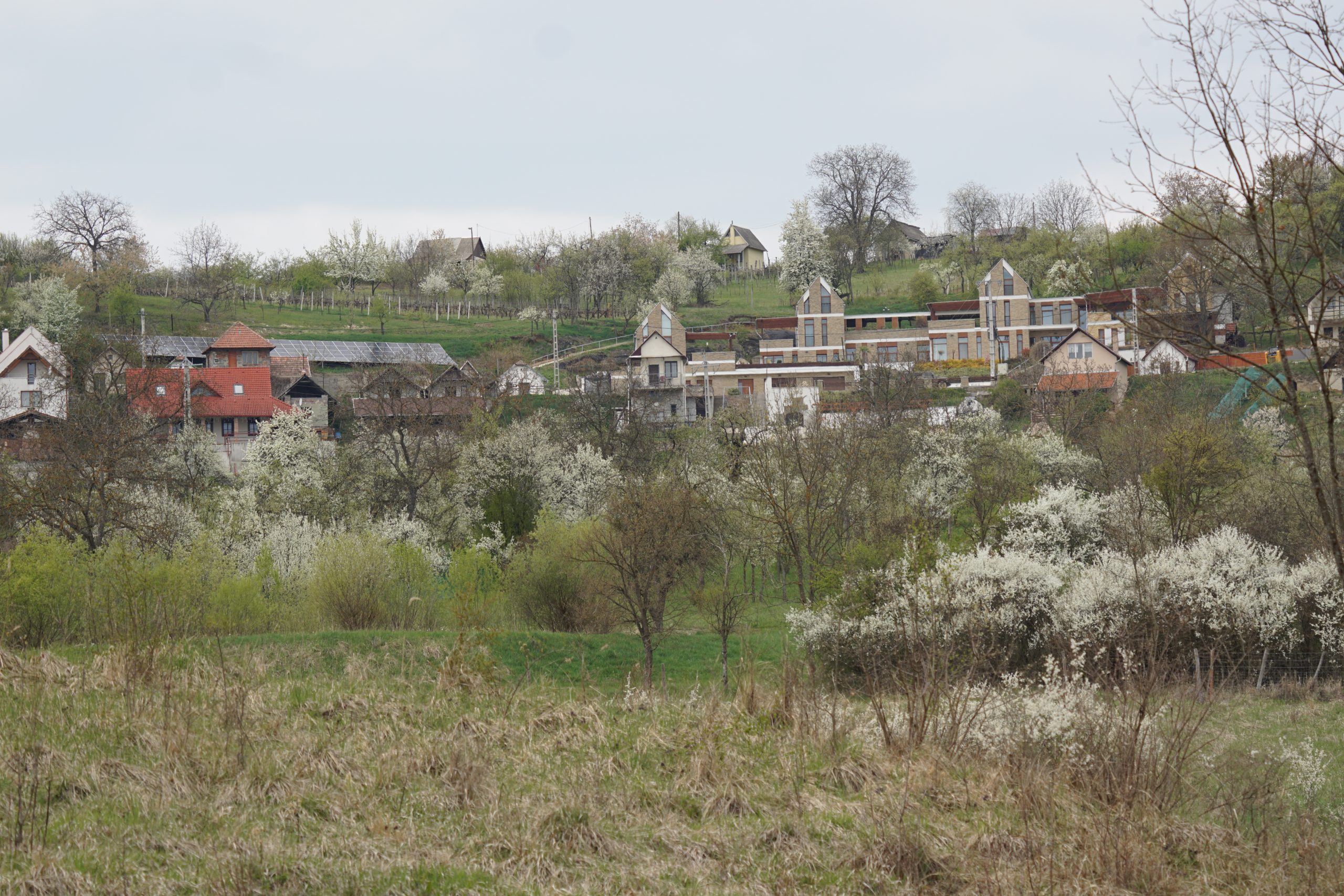 TAVASZ A RÉGIÓ TELEPÜLÉSEIN (KÉPGALÉRIA)
