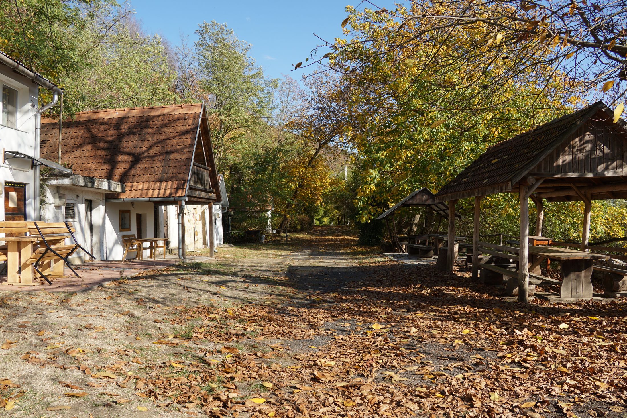 ŐSZ A DUBICSÁNYI PINCESORON